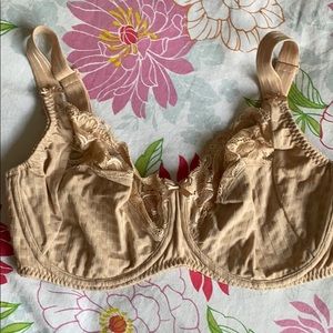 Prima Donna Madison Bra (36E) in cafe latte